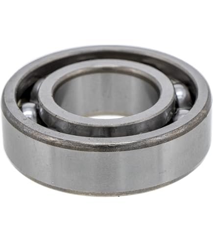 61MFo+am+5S._AC_UL495_SR435,